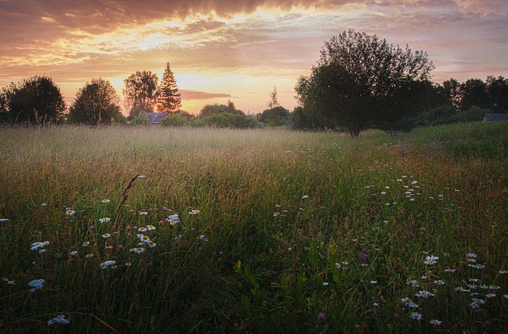 Photograph by Зеленько Дмитрий