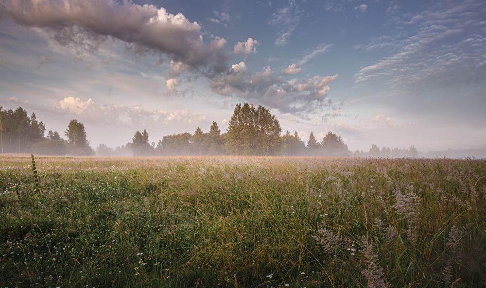 Photograph by Зеленько Дмитрий