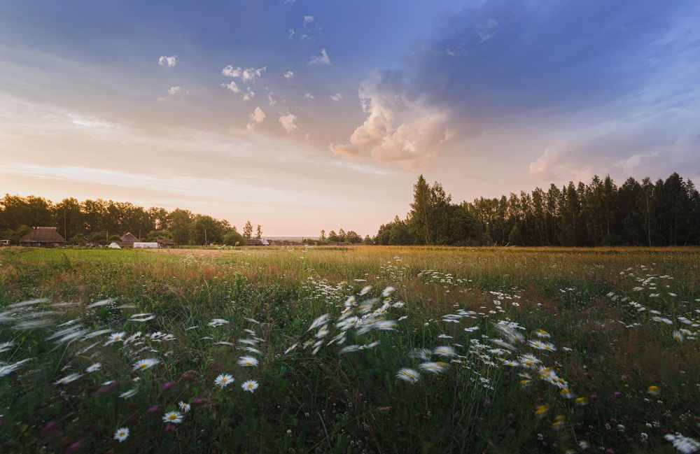 Photograph by Зеленько Дмитрий
