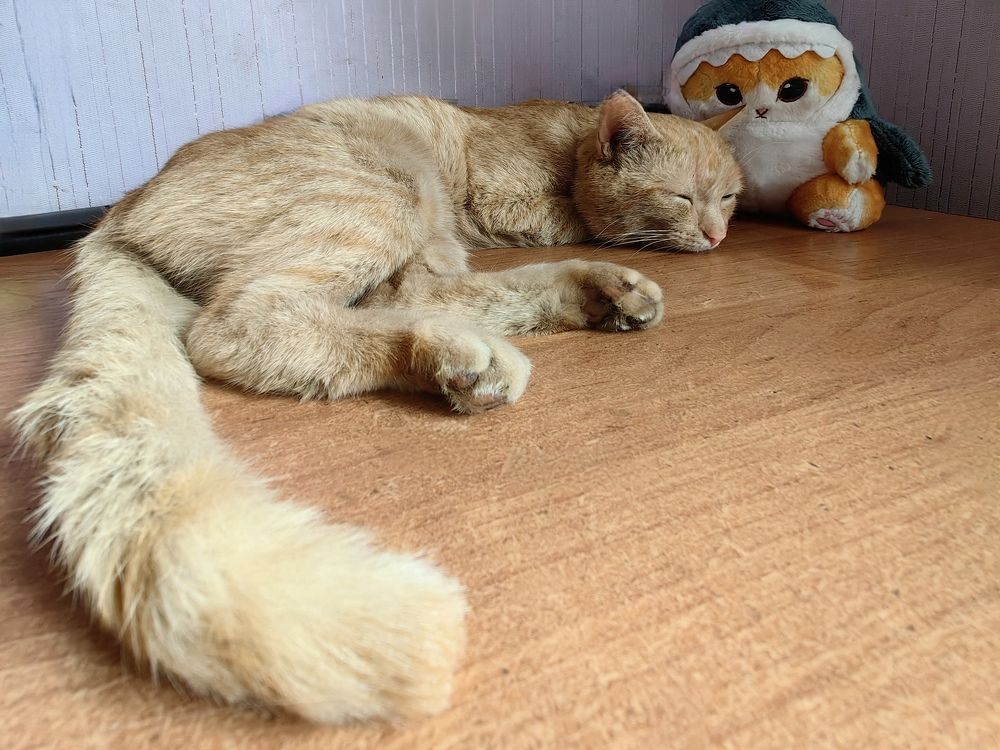 Photograph by Римма Бобрякова