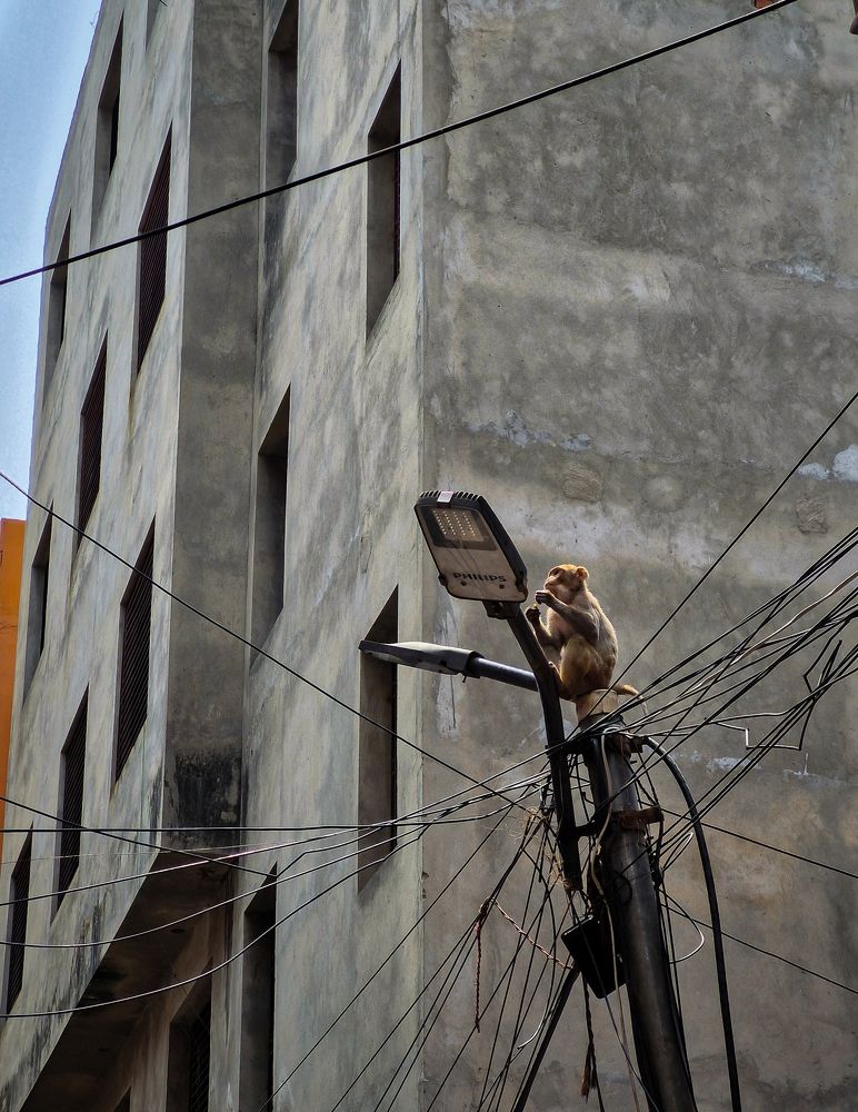 Photograph by Souradip Dey