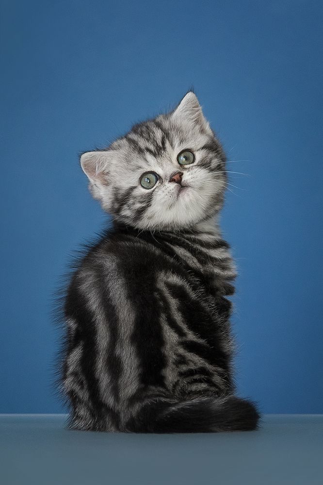 Photograph by Виктория Мамаева