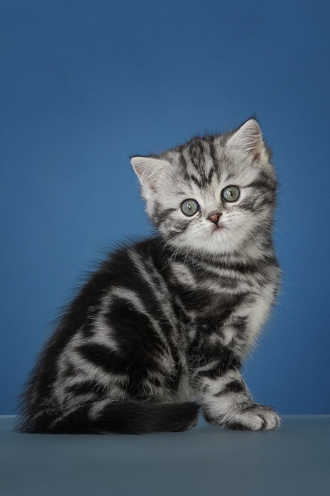 Photograph by Виктория Мамаева