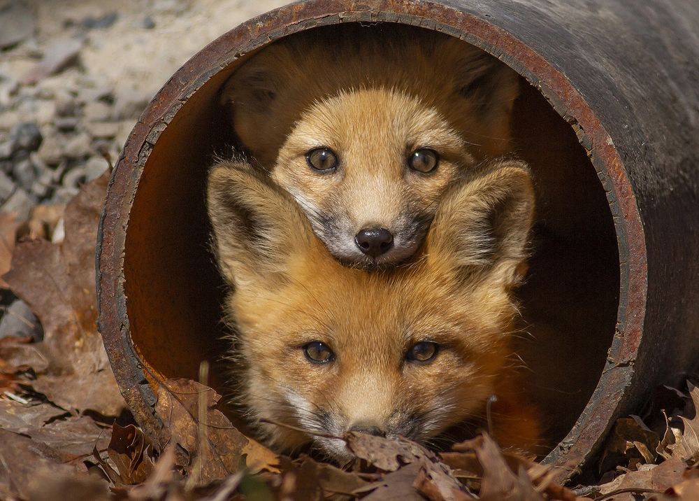 Photograph by Larry Kirtley