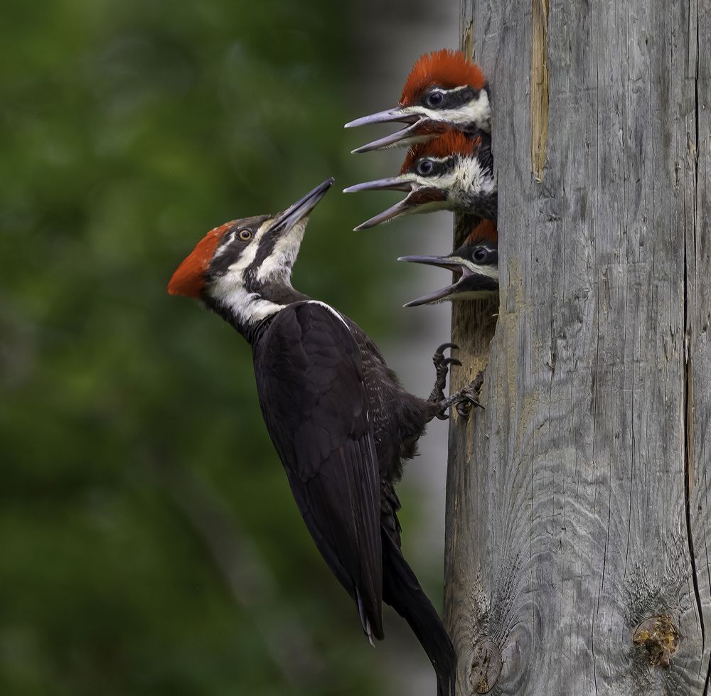 Photograph by Larry Kirtley