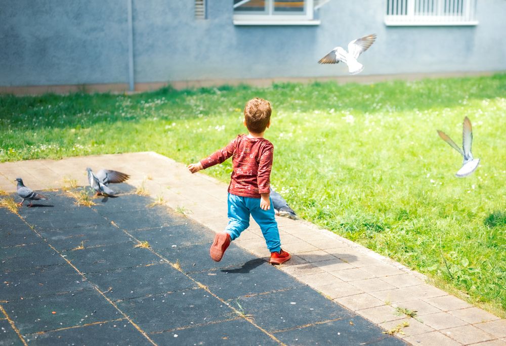 Photograph by Omer Gojak