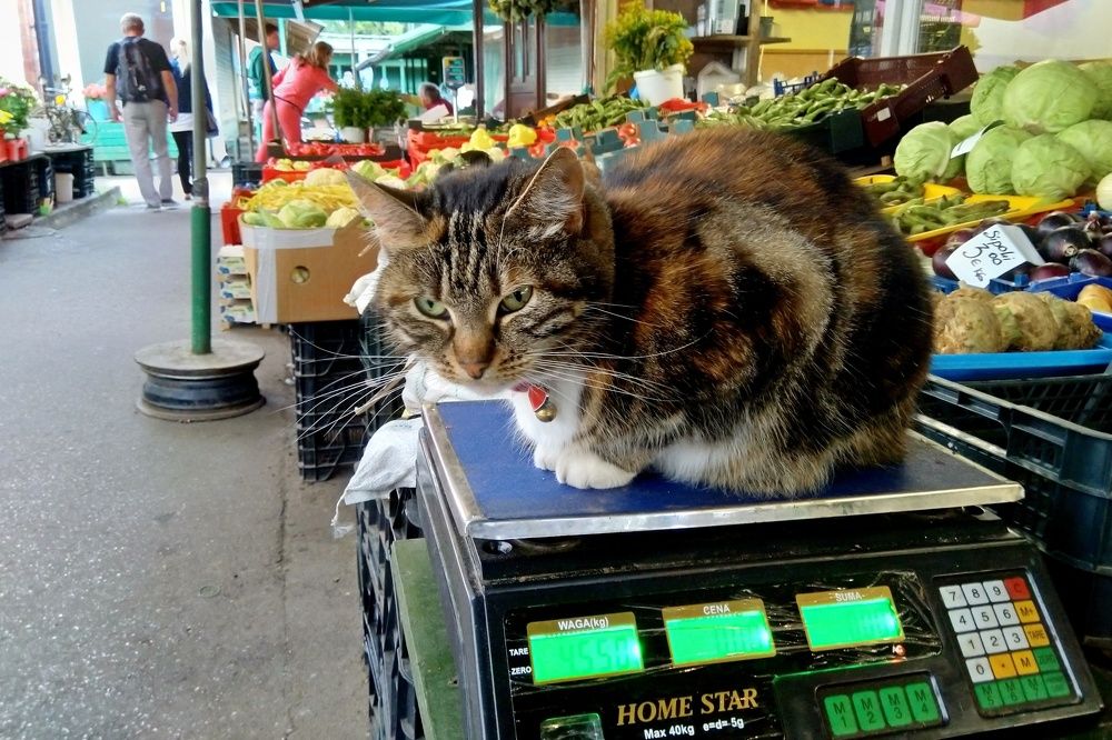 Фотография автора Сергей Барановский
