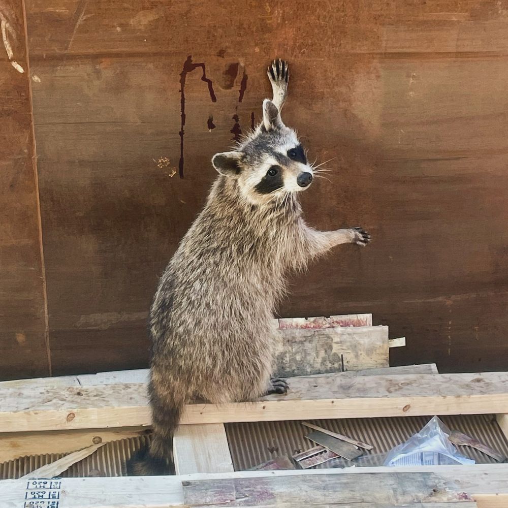 Photograph by Наталья