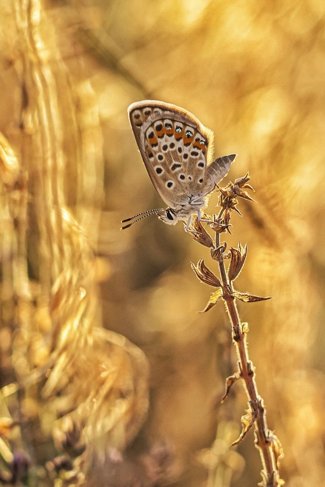 Photograph by Наталья Исиченко