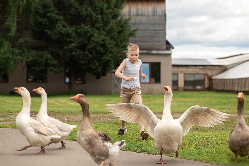 Photograph by Людмила Крюкова