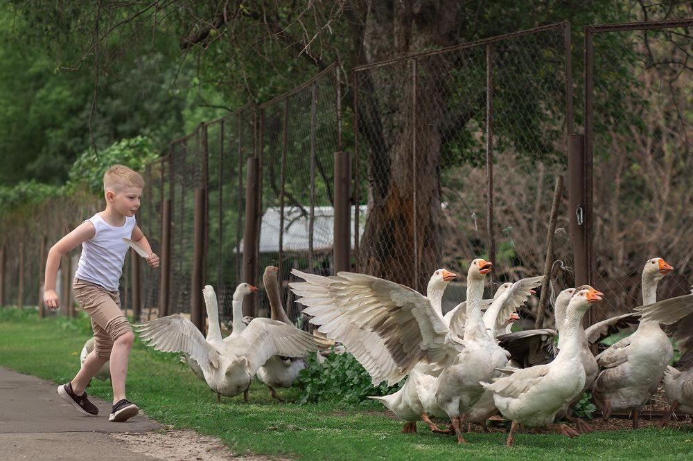 Photograph by Людмила Крюкова