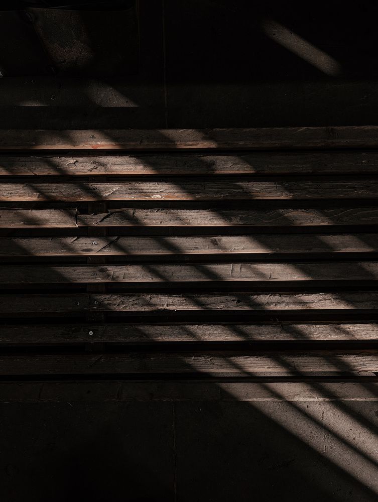 Фотография автора Мария Михайлова