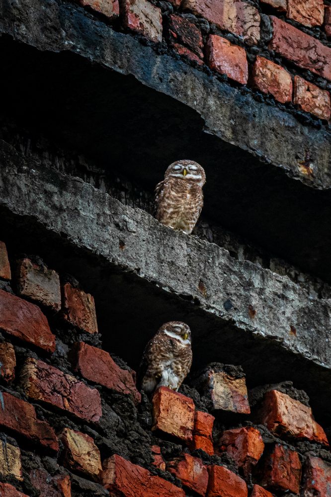 Photograph by Siddhartha Roy Choudhury