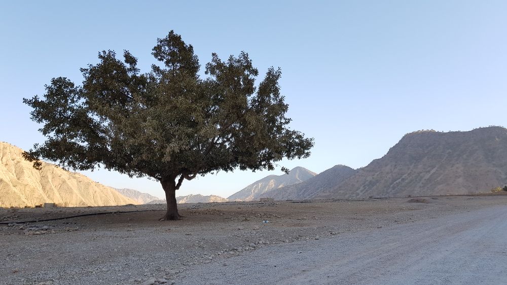 Photograph by ashtin فرید آشتین