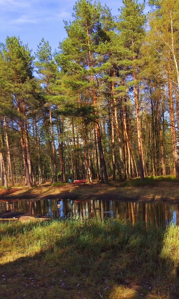 Photograph by Andrei Sabanov