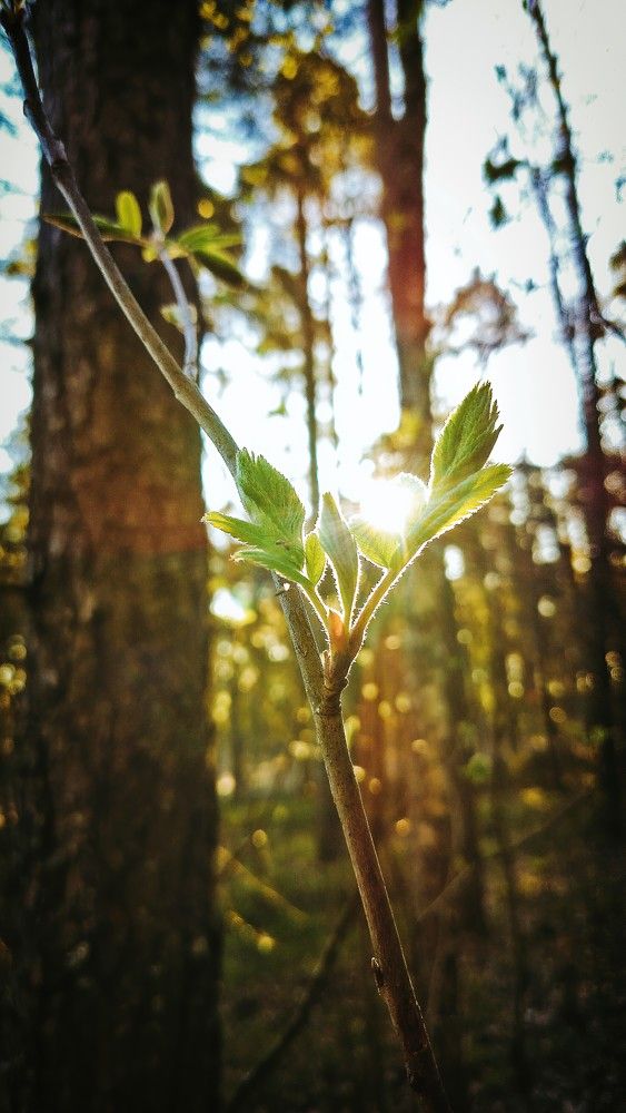 Photograph by Andrei Sabanov