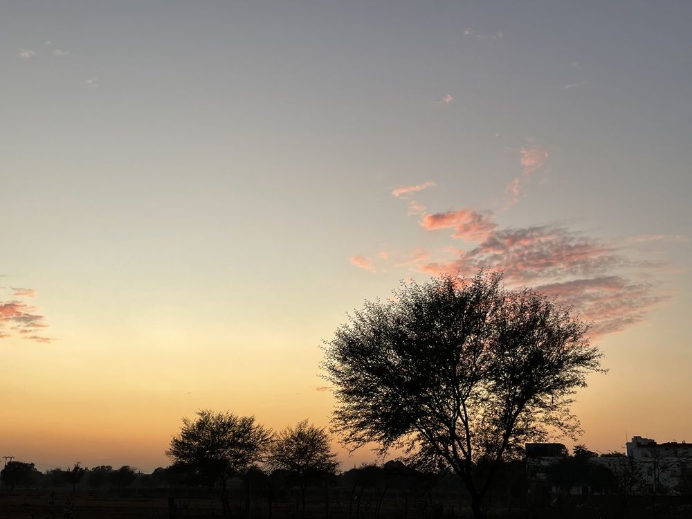 Photograph by Dr. Santosh Kumar Jha