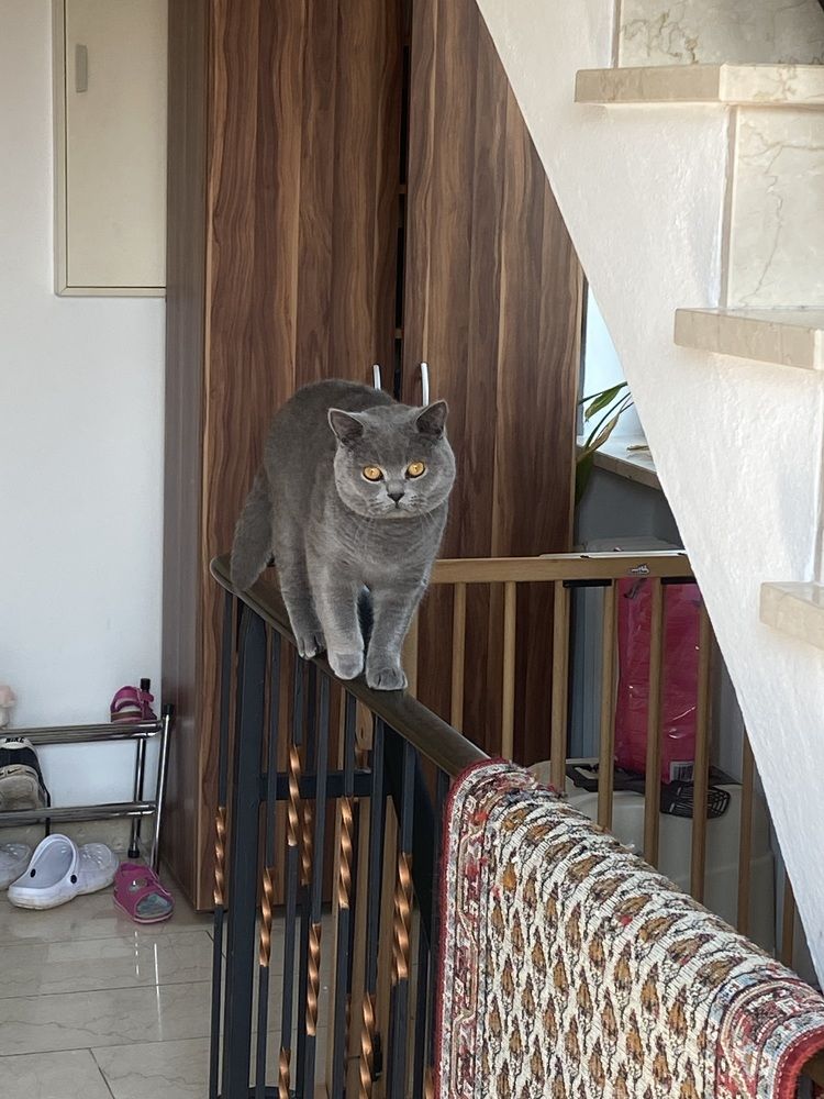 Photograph by Eugenia Schmidt