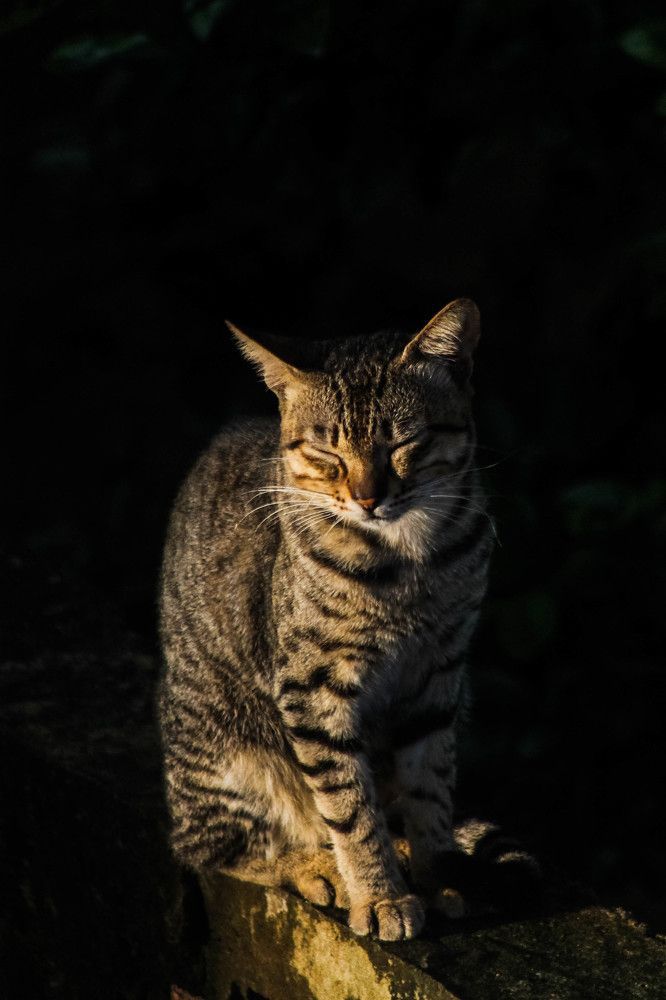 Photograph by Sineth Chanthula Weerasingha