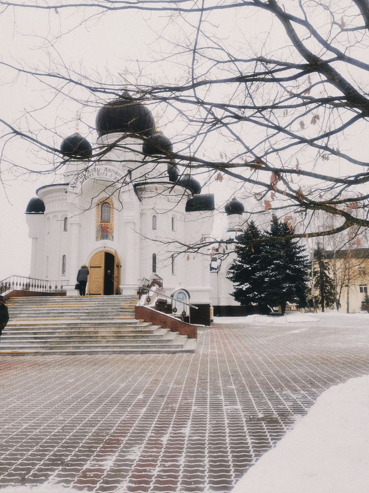 Photograph by Дарья Гомза