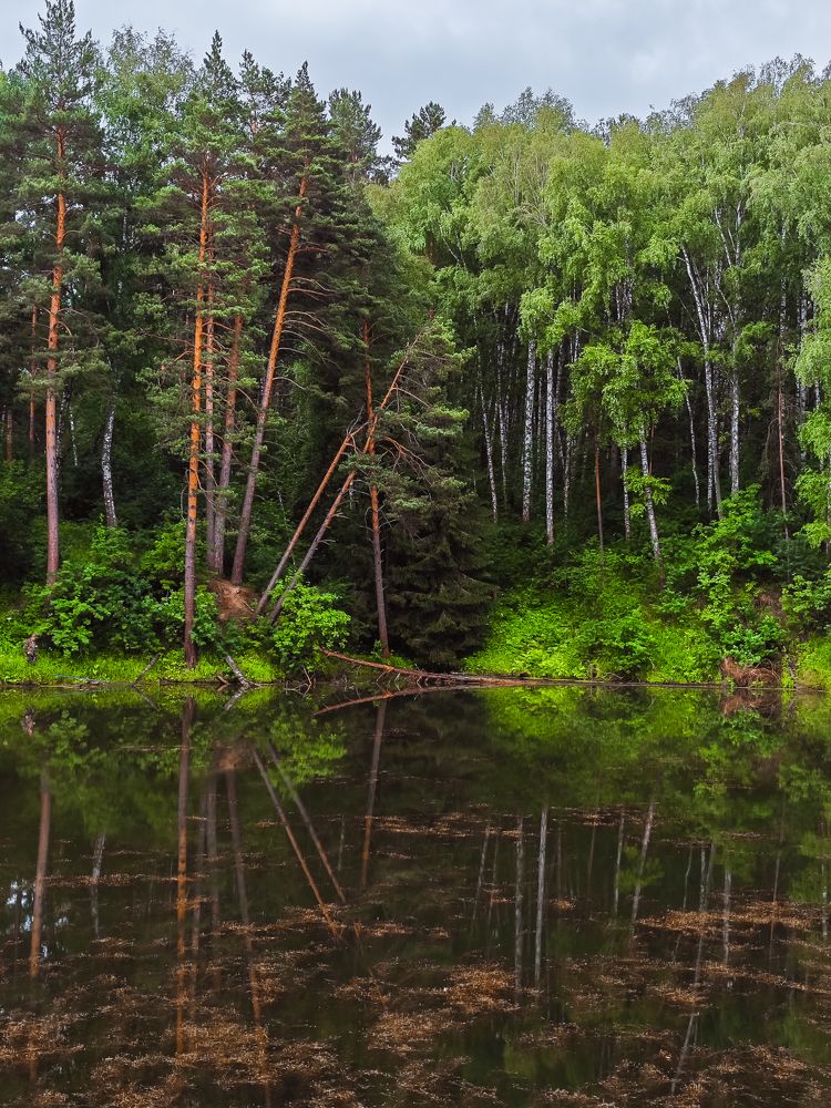 Photograph by Константин Пешков