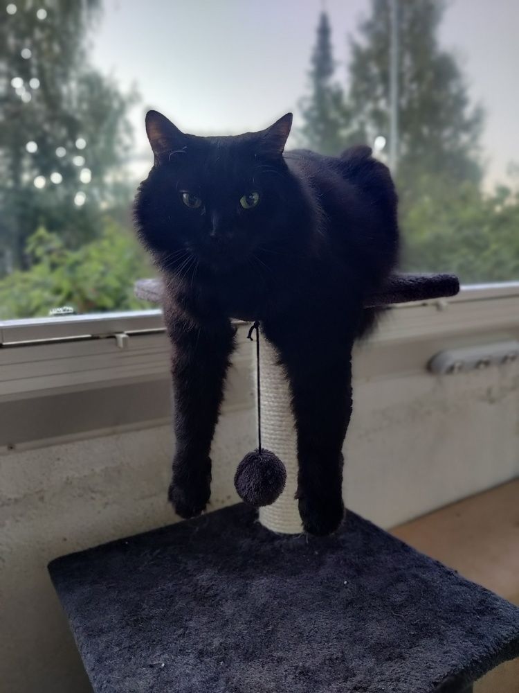 Photograph by Andrei Sabanov