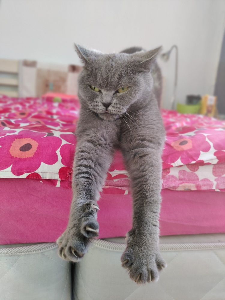 Photograph by Andrei Sabanov