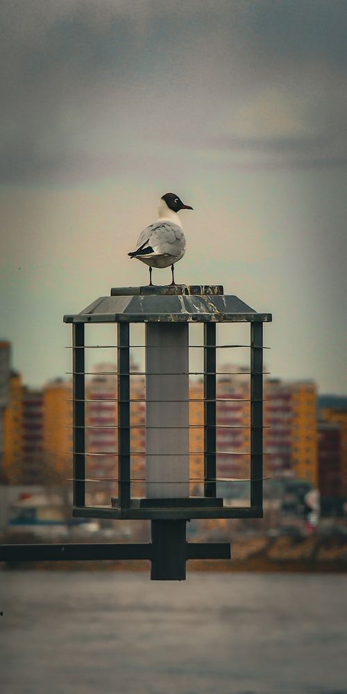 Photograph by Владимир Сушкин