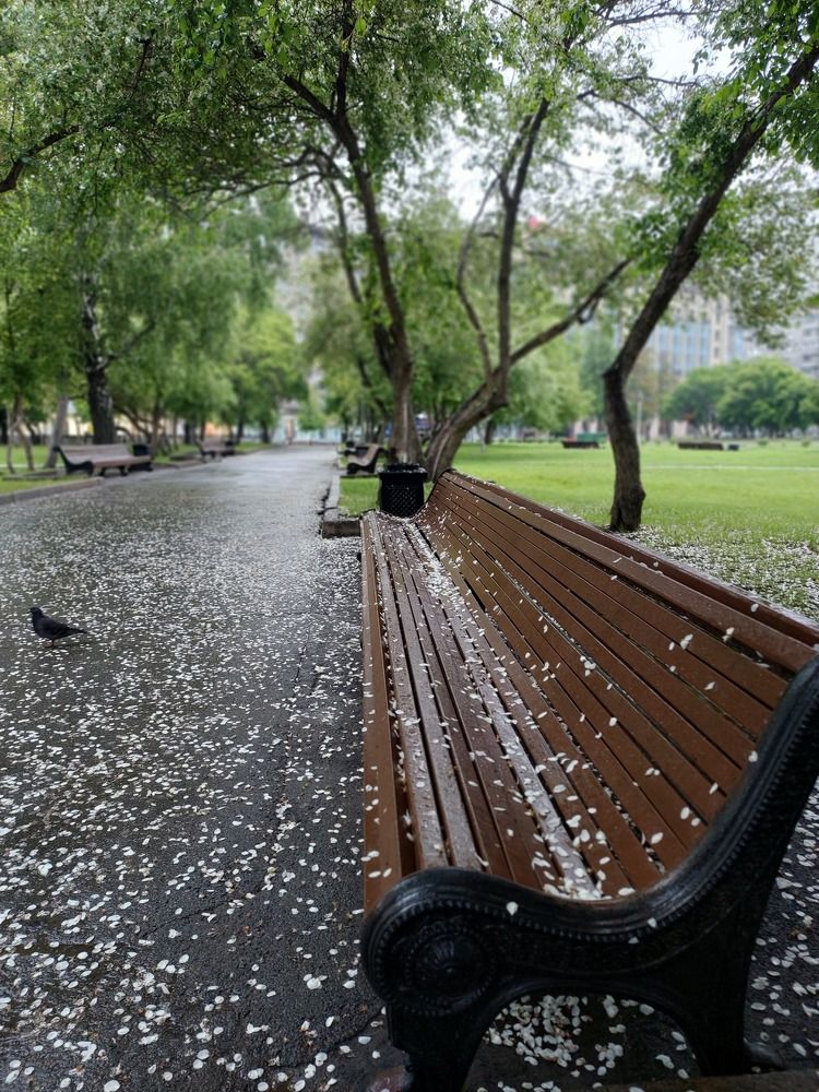 Photograph by Савина Татьяна Александровна