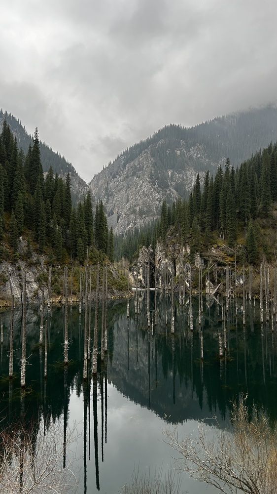 Photograph by Галина Шипухина