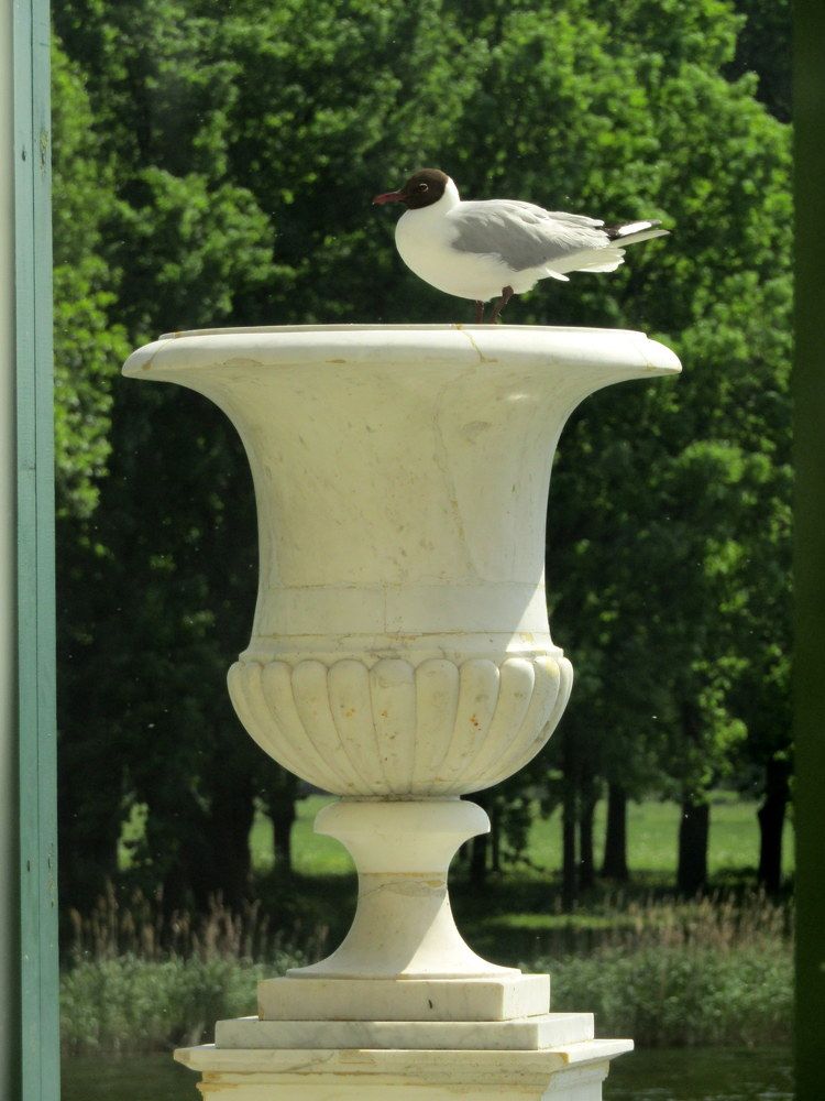 Photograph by Татьяна Смирнова