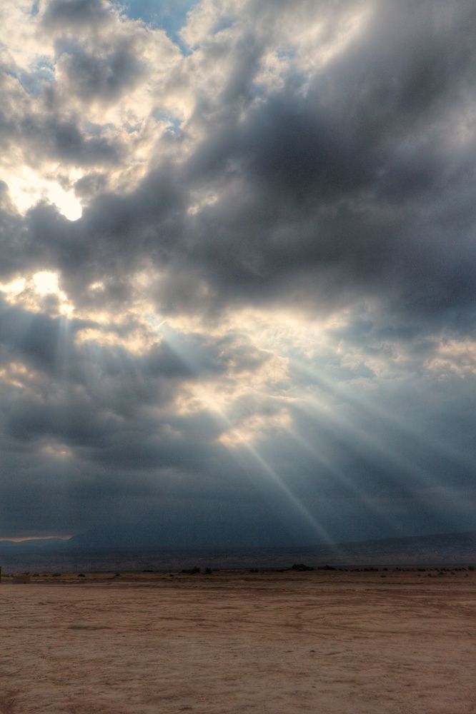 Photograph by Seyed-Sajad Hamedheydari