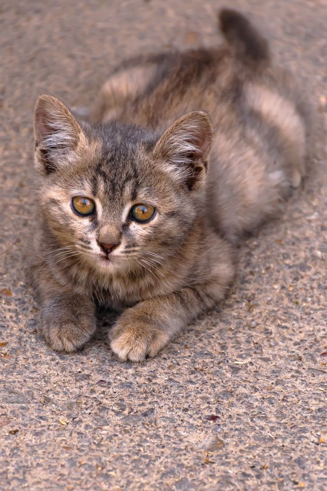 Photograph by Maryam Talepoor