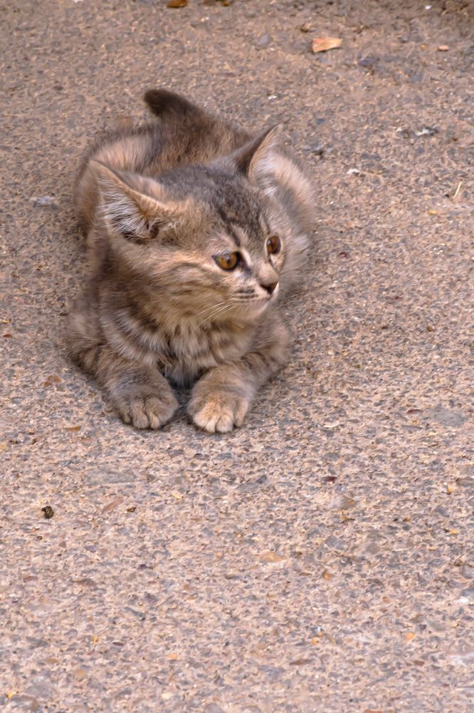 Photograph by Maryam Talepoor