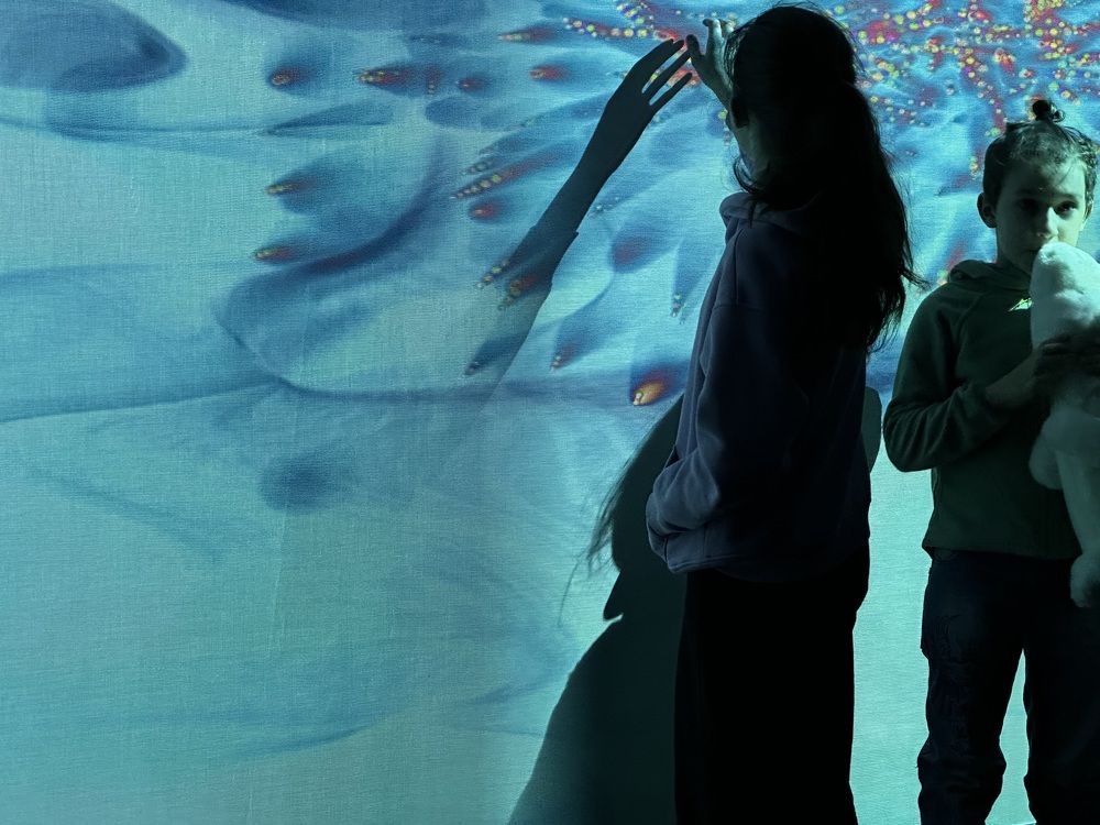 Photograph by Екатерина Карвасарская