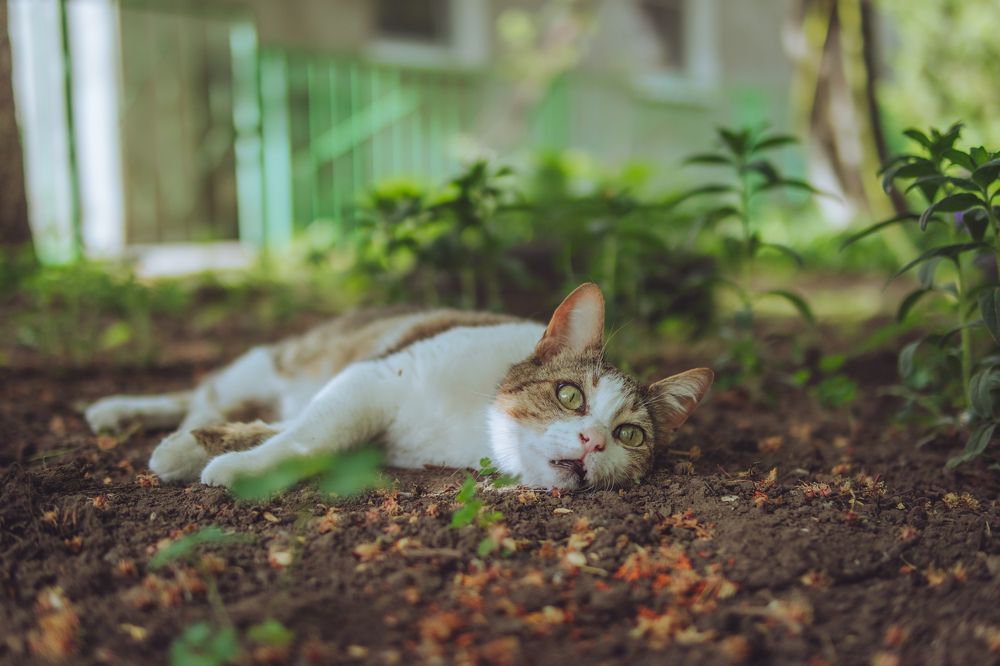 Photograph by Константин Павленко