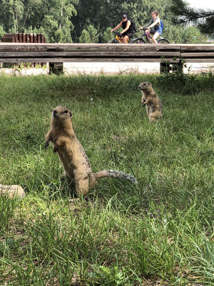 Фотография автора Светлана Гончарова