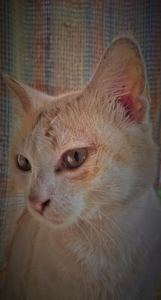 Photograph by Varsha Gatti