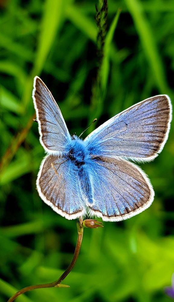 Photograph by Галина Перепечаева
