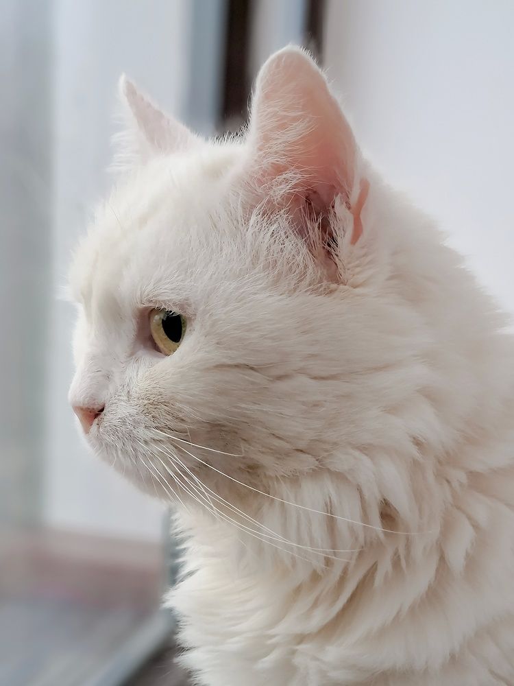 Photograph by Лариса Когтева