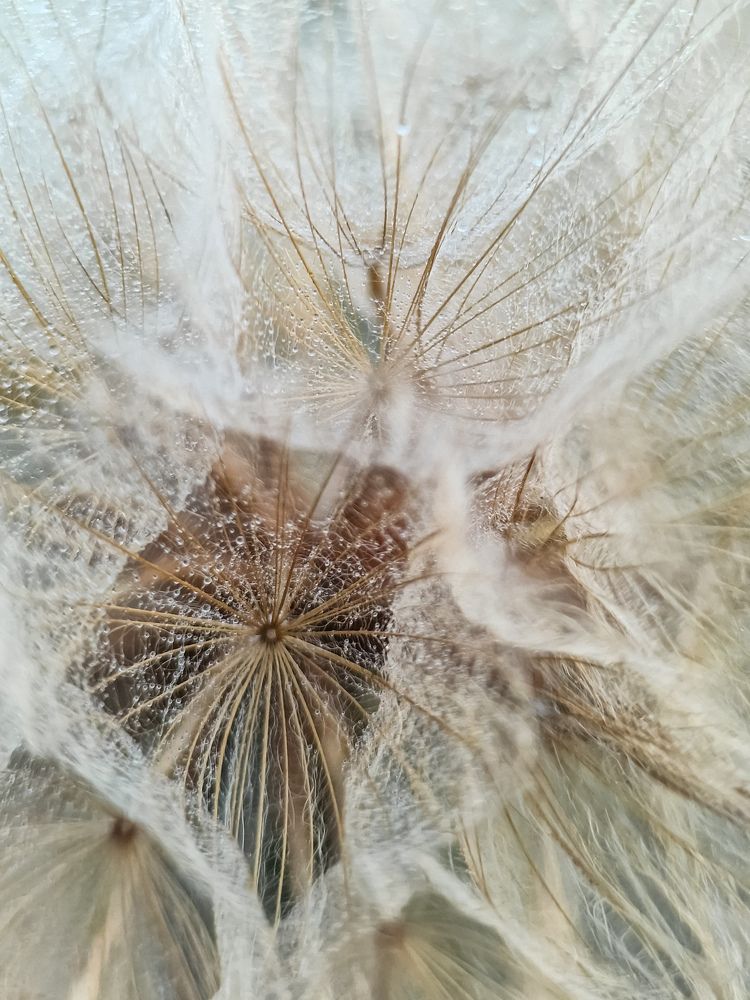 Photograph by Лариса Когтева