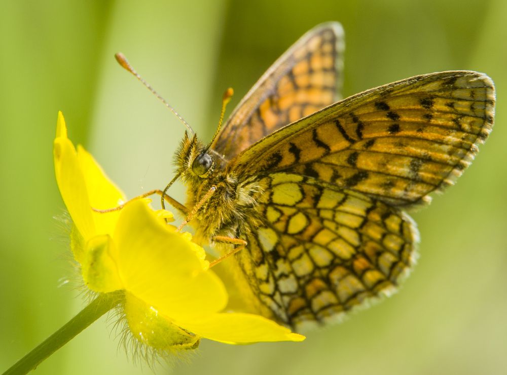 Photograph by Татьяна Титова