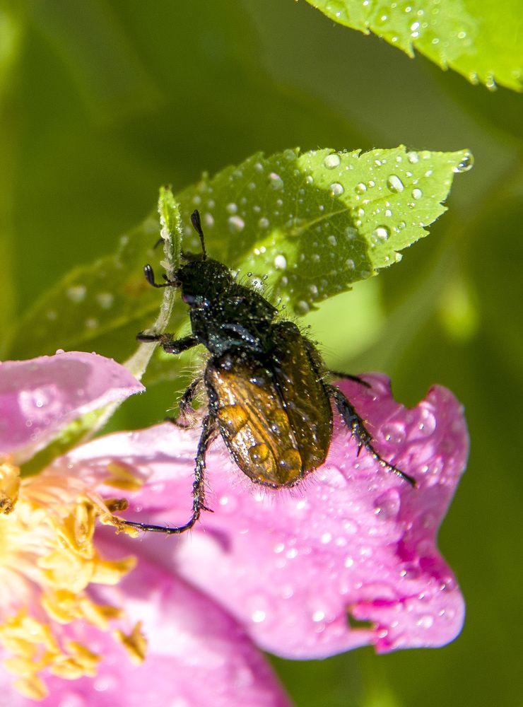 Photograph by Татьяна Титова