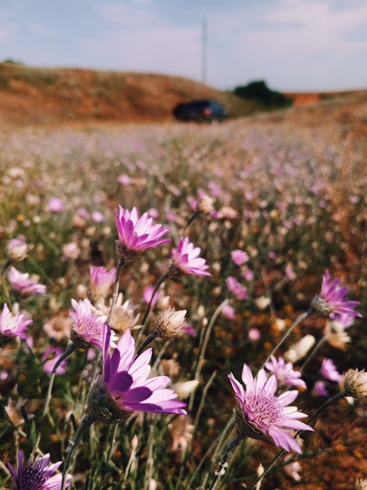 Photograph by Мария Сергеевна Беловолова