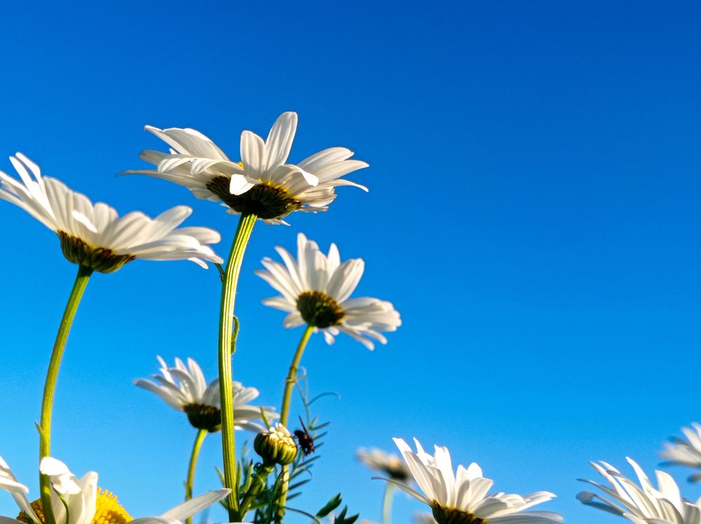 Photograph by Анастасия