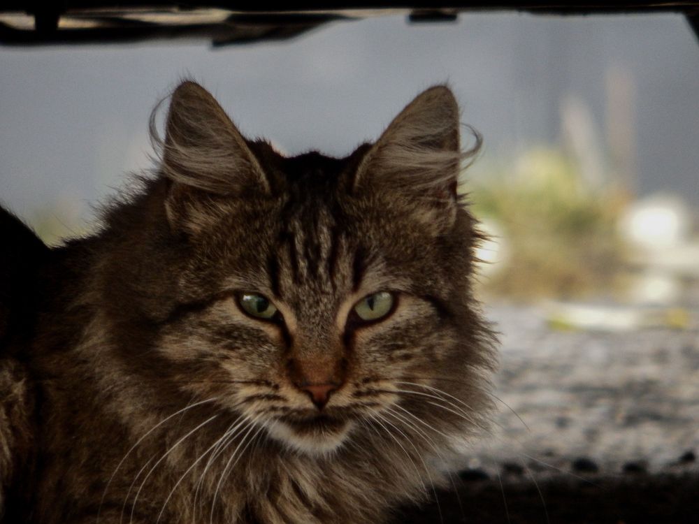 Photograph by Анастасия