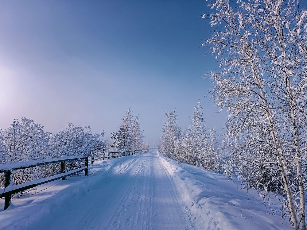 Зимняя дорожка