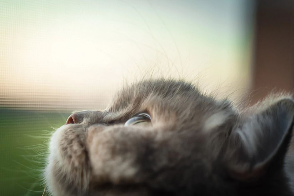 Photograph by Светлана Реунова