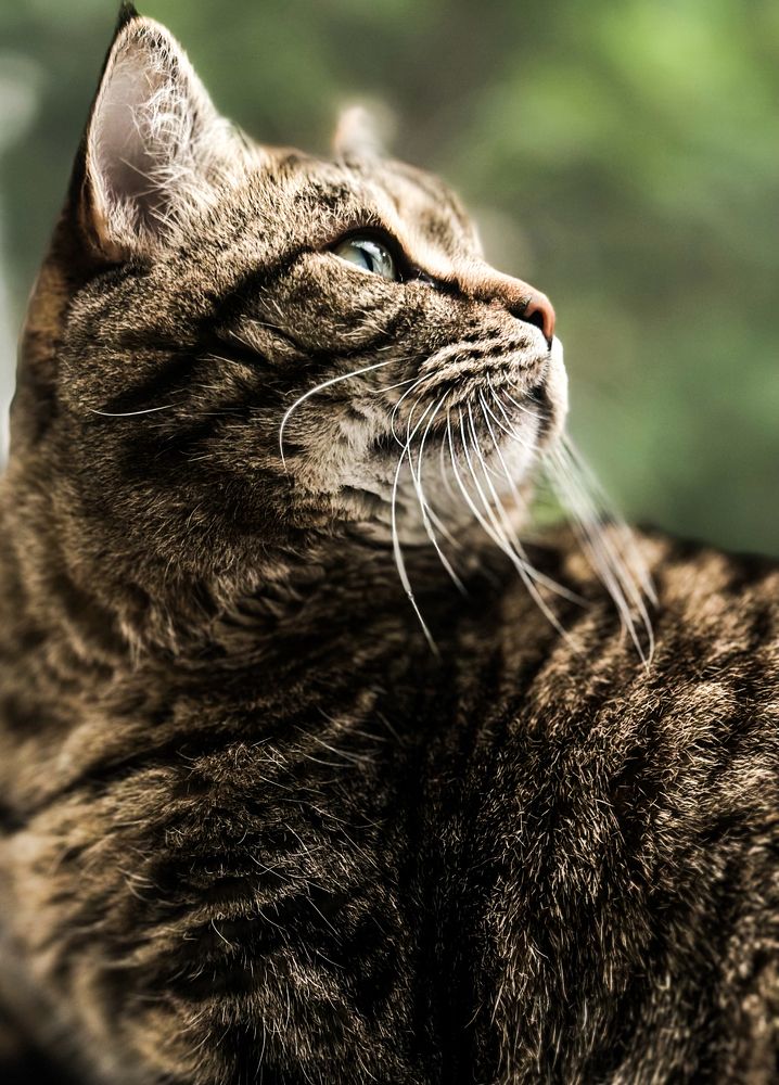 Photograph by Екатерина Целовальникова