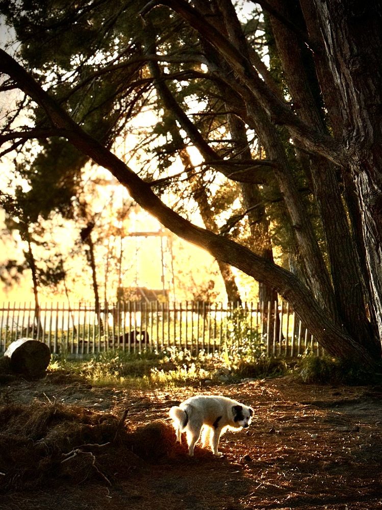 Photograph by Светлана Поляничева